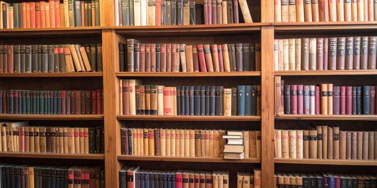 Estante cheia de livros organizados por gênero